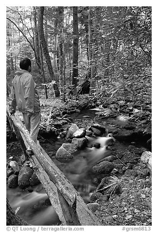 Hiker on tiny footbrige above stream, Tennessee. Great Smoky Mountains National Park (black and white)