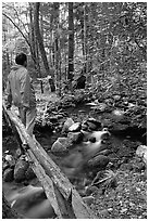Hiker on tiny footbrige above stream, Tennessee. Great Smoky Mountains National Park, USA. (black and white)
