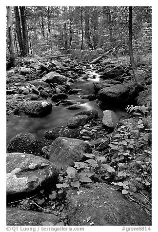 Mossy boulders and Cosby Creek, Tennessee. Great Smoky Mountains National Park (black and white)