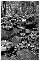 Mossy boulders and Cosby Creek, Tennessee. Great Smoky Mountains National Park ( black and white)