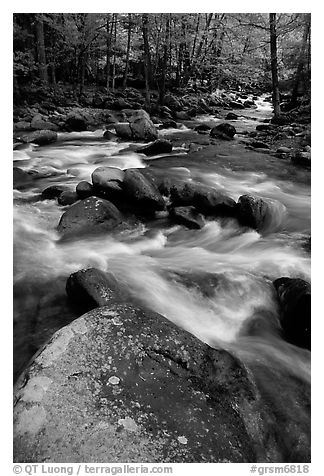 Boulders in confluence of rivers, Greenbrier, Tennessee. Great Smoky Mountains National Park (black and white)