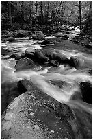 Boulders in confluence of rivers, Greenbrier, Tennessee. Great Smoky Mountains National Park ( black and white)