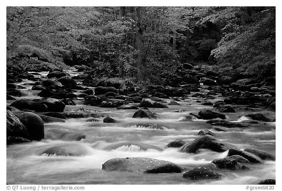 Middle Prong of the Little Pigeon River, Tennessee. Great Smoky Mountains National Park (black and white)