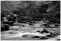 Middle Prong of the Little Pigeon River, Tennessee. Great Smoky Mountains National Park ( black and white)
