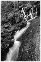 Small cascading stream, Treemont, Tennessee. Great Smoky Mountains National Park, USA. (black and white)