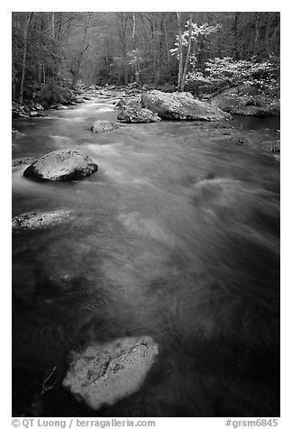 Flowing water, Middle Prong of the Little River, Tennessee. Great Smoky Mountains National Park (black and white)