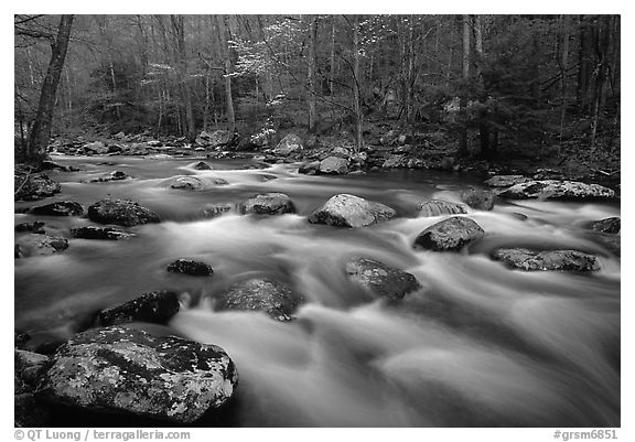 Water flowing over boulders in the spring, Treemont, Tennessee. Great Smoky Mountains National Park (black and white)