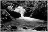 Cascade pothole, Roaring Fork River, Tennessee. Great Smoky Mountains National Park, USA. (black and white)