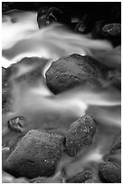 Mossy boulders and silky water, Roaring Fork River, Tennessee. Great Smoky Mountains National Park ( black and white)
