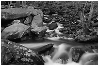 Roaring Fork River Cascades and boulders, Tennessee. Great Smoky Mountains National Park, USA. (black and white)