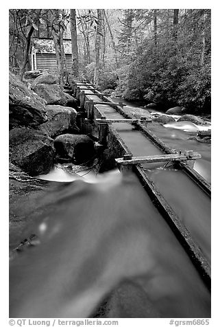 Flume to Reagan's Mill from Roaring Fork River, Tennessee. Great Smoky Mountains National Park (black and white)