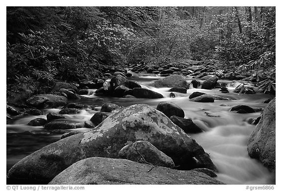 River cascading along mossy boulders, Roaring Fork, Tennessee. Great Smoky Mountains National Park, USA.