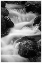 River Cascading, Roaring Fork, Tennessee. Great Smoky Mountains National Park, USA. (black and white)