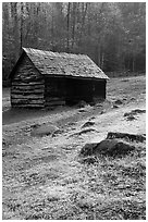 Cabin at Jim Bales place, early morning, Tennessee. Great Smoky Mountains National Park, USA. (black and white)