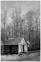 Historic log Cabin, Roaring Fork, Tennessee. Great Smoky Mountains National Park, USA. (black and white)