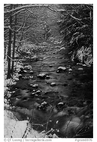 Creek and snowy trees in winter, Tennessee. Great Smoky Mountains National Park (black and white)