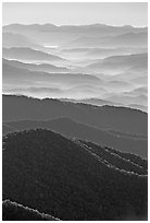 Hazy Ridges seen from Clingmans Dome, North Carolina. Great Smoky Mountains National Park, USA. (black and white)