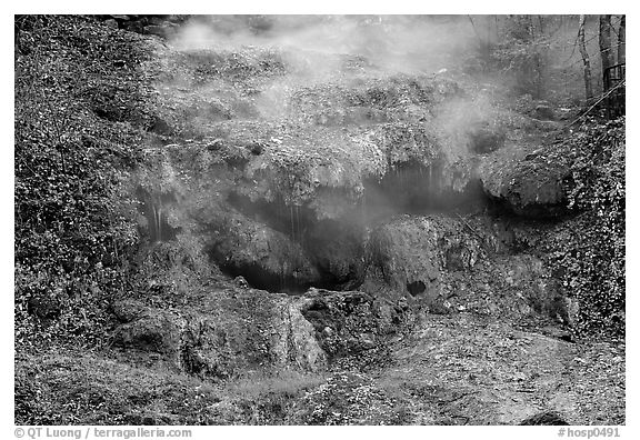 Thermal spring water flowing over tufa terrace. Hot Springs National Park (black and white)