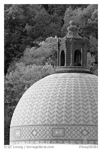 Dome of Quapaw Baths. Hot Springs National Park (black and white)