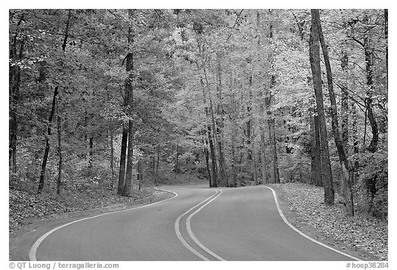 Windy road and fall colors on West Mountain. Hot Springs National Park, Arkansas, USA.