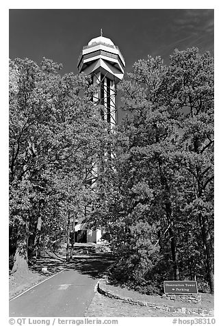 Hot Springs Mountain Tower in the fall. Hot Springs National Park (black and white)