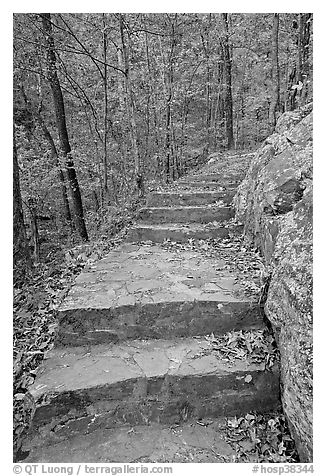 Stone steps on trail in forest with fall foliage, Gulpha Gorge. Hot Springs National Park, Arkansas, USA.