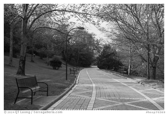 Grand Promenade in the spring. Hot Springs National Park (black and white)