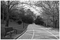 Grand Promenade in the spring. Hot Springs National Park ( black and white)