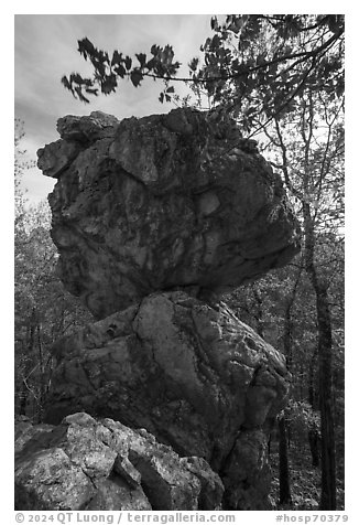 Balanced Rock. Hot Springs National Park (black and white)