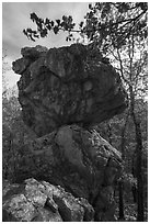 Balanced Rock. Hot Springs National Park ( black and white)