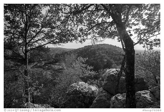 Sugarloaf Mountain in the spring. Hot Springs National Park (black and white)