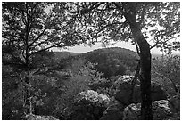 Sugarloaf Mountain in the spring. Hot Springs National Park ( black and white)