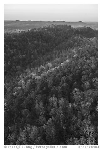 Forest in spring and North Mountain from Hot Springs Mountain Tower. Hot Springs National Park (black and white)