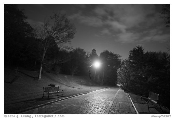 Grand Promenade at night. Hot Springs National Park (black and white)