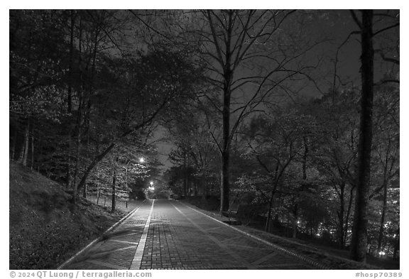 Grand Promenade at night in springtime. Hot Springs National Park (black and white)