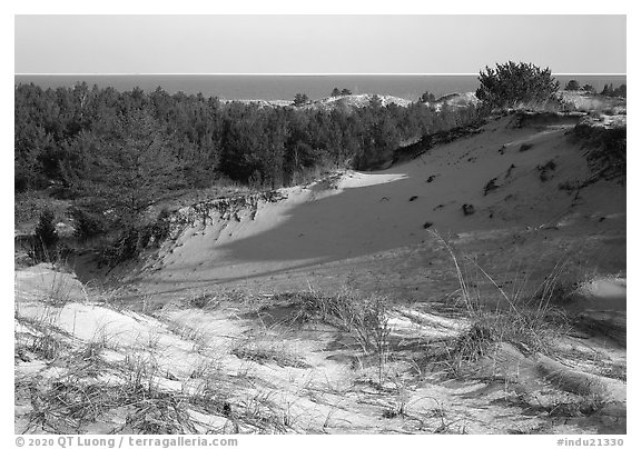 Dunes and Lake Michigan, Dune Succession Trail. Indiana Dunes National Park (black and white)