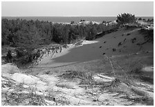 Dunes and Lake Michigan, Dune Succession Trail. Indiana Dunes National Park ( black and white)