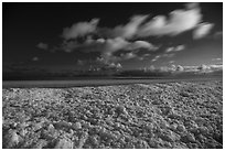 Shelf ice and Lake Michigan by moonlight, West Beach. Indiana Dunes National Park ( black and white)