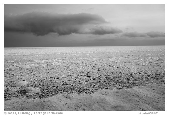 Frozen Lake Michigan from base of Mount Baldy. Indiana Dunes National Park (black and white)