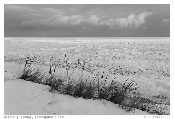 Dune grass, snow, and Frozen Lake Michigan, Mount Baldy Trail. Indiana Dunes National Park (black and white)