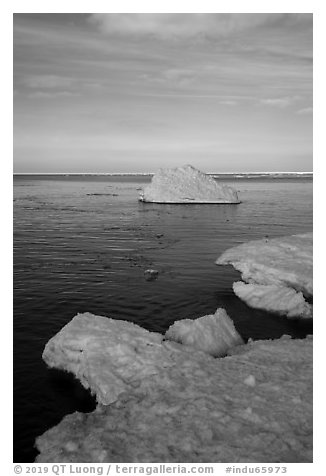 Shelf ice and iceberg, Lake View. Indiana Dunes National Park (black and white)