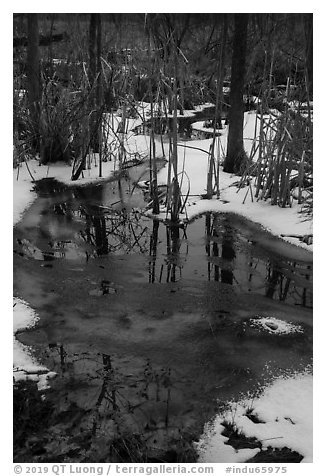 Reflections in partly thawed Great Marsh. Indiana Dunes National Park (black and white)