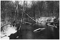 Little Calumet River with fresh snow, Heron Rookery Trail. Indiana Dunes National Park ( black and white)