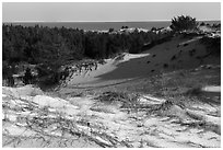 Pictures of Indiana Dunes