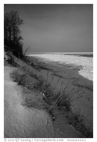 Grass on snowy dunes and frozen Lake Michigan at sunrise. Indiana Dunes National Park (black and white)