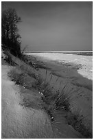 Grass on snowy dunes and frozen Lake Michigan at sunrise. Indiana Dunes National Park ( black and white)