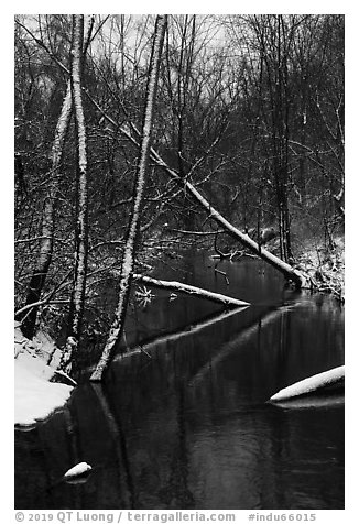 Little Calumet River in winter, Heron Rookery. Indiana Dunes National Park (black and white)