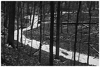Frozen stream in ravine near Chellberg Farm. Indiana Dunes National Park ( black and white)