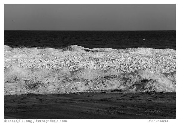 Beach and shelf ice. Indiana Dunes National Park (black and white)