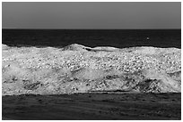 Beach and shelf ice. Indiana Dunes National Park ( black and white)